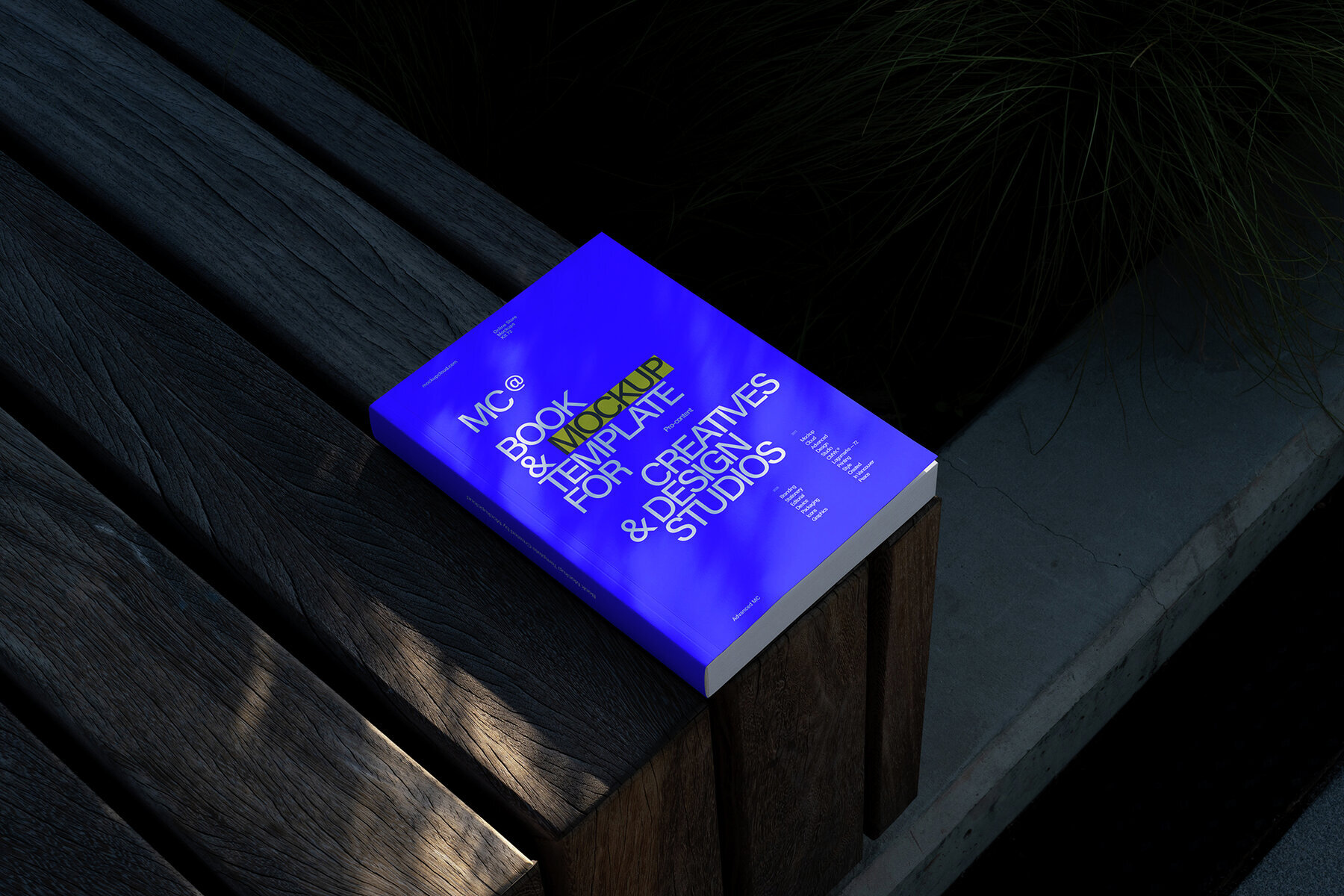 Branding Identity Mockups RAW Series 03 3