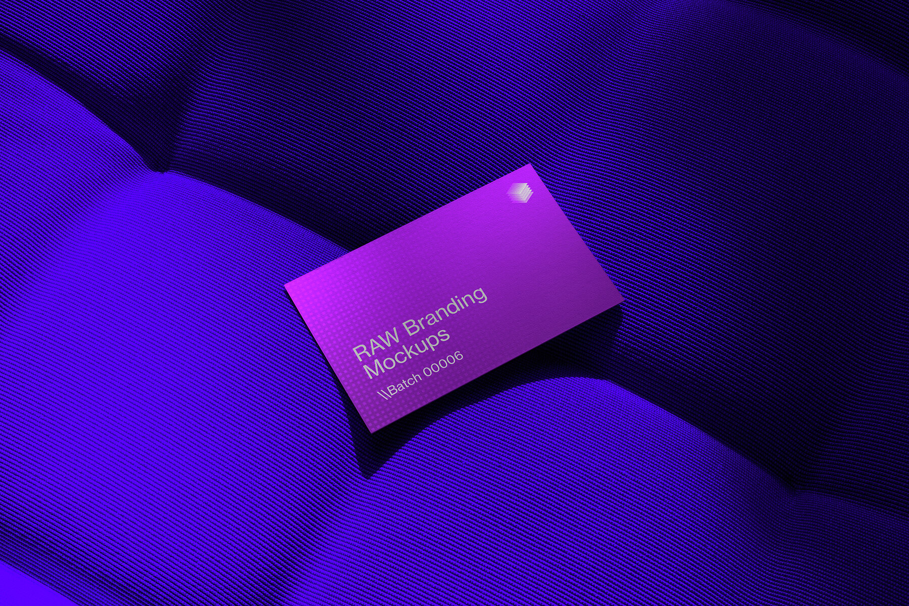 Branding Identity Mockups RAW Series 03 6