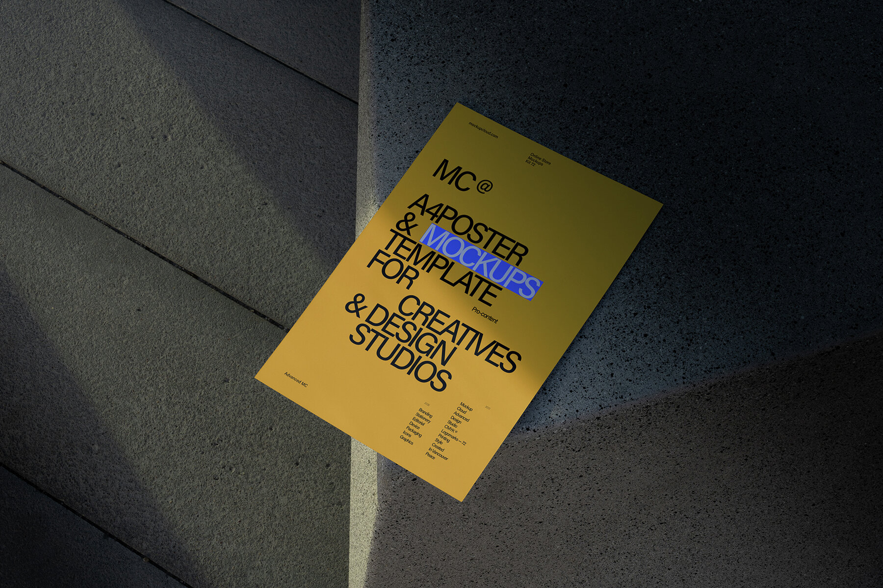 Branding Identity Mockups RAW Series 03 8