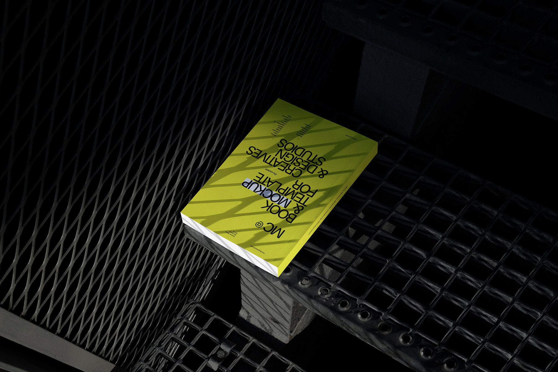 Branding Identity Mockups RAW Series 03 9