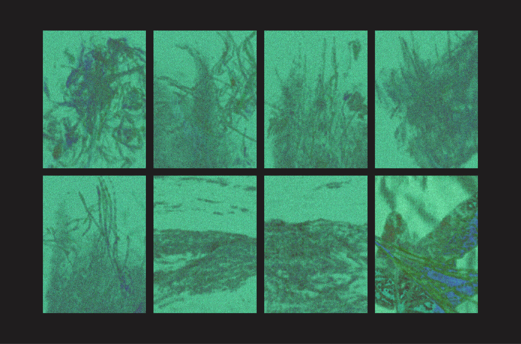 Textures of Emotions Vol 6 6