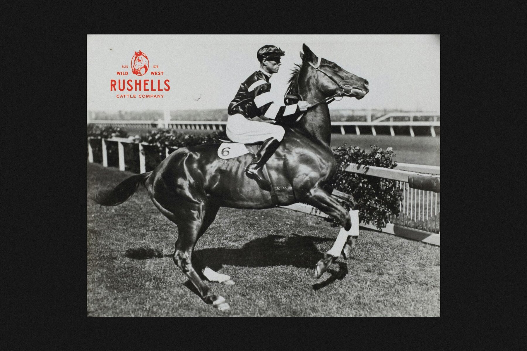 Badfest Vol 03 100 Logo Template 12