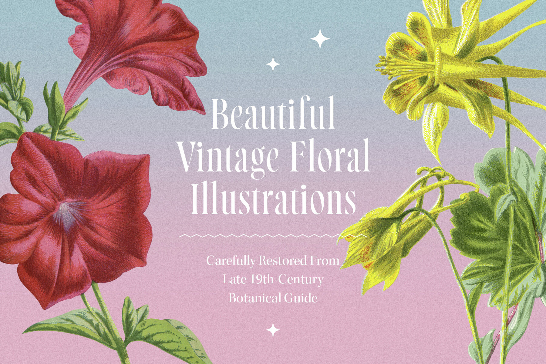 Atlas of Flowers Botanical Art Set 2