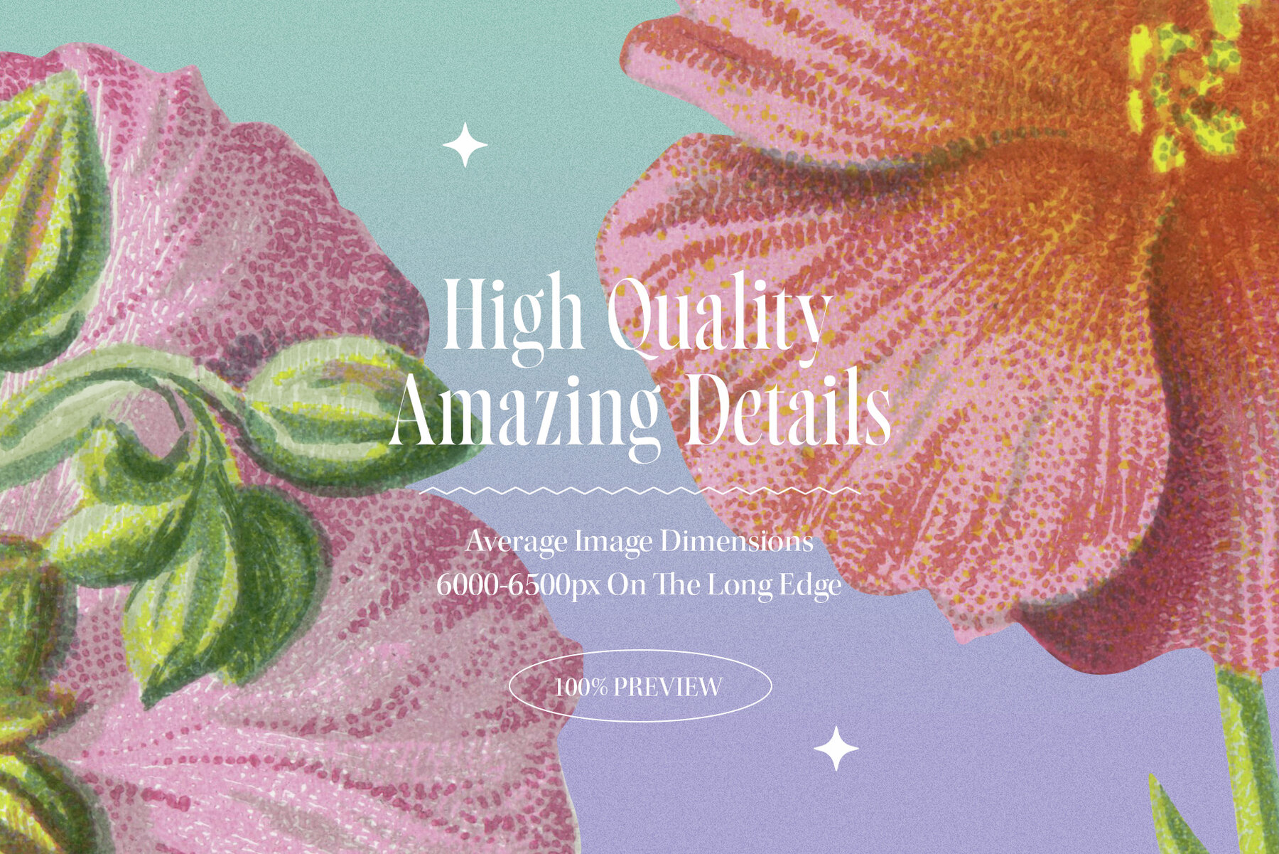 Atlas of Flowers Botanical Art Set 7