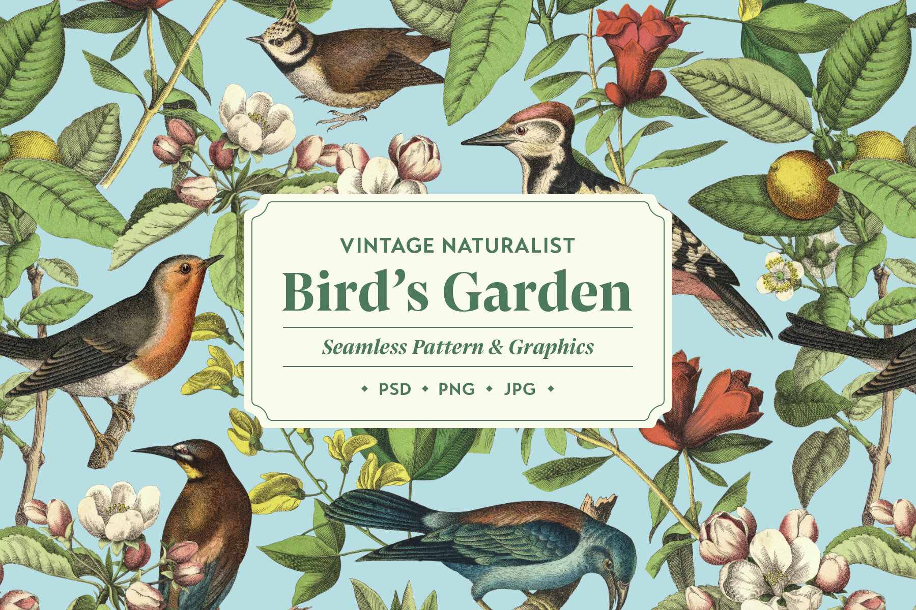 Bird   s Garden Vintage Pattern and Graphics 1