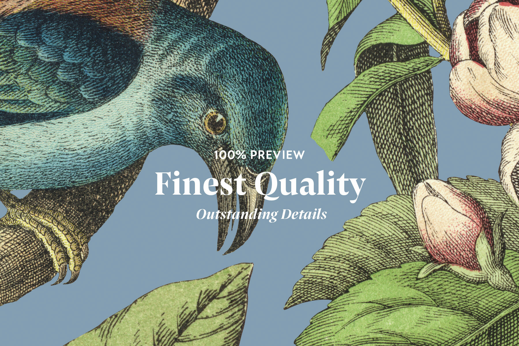 Bird   s Garden Vintage Pattern and Graphics 7