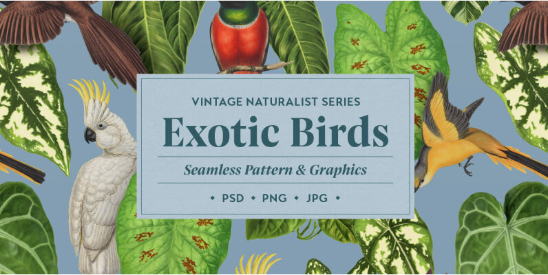 Exotic Birds Vintage Pattern
