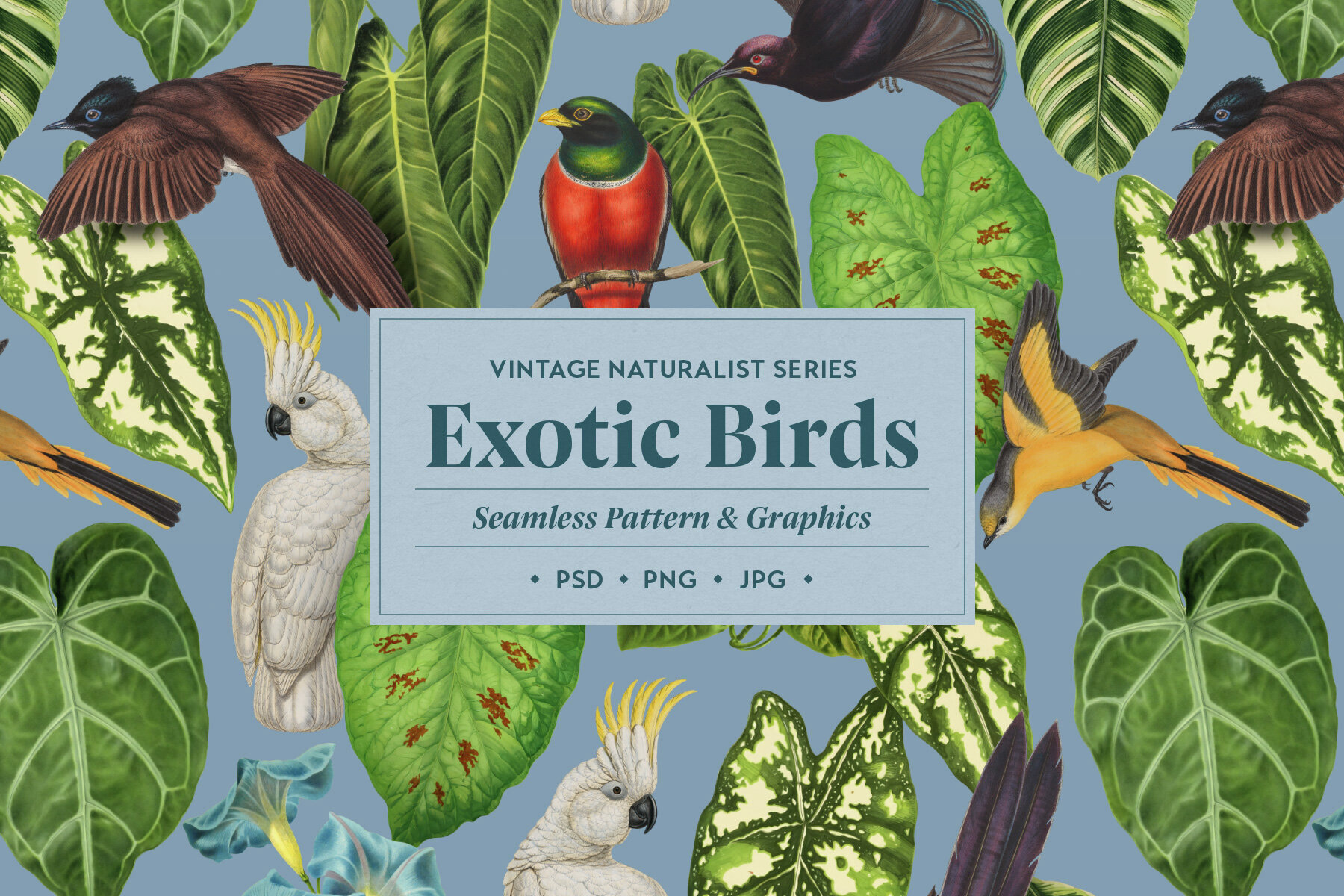 Exotic Birds Vintage Pattern 1