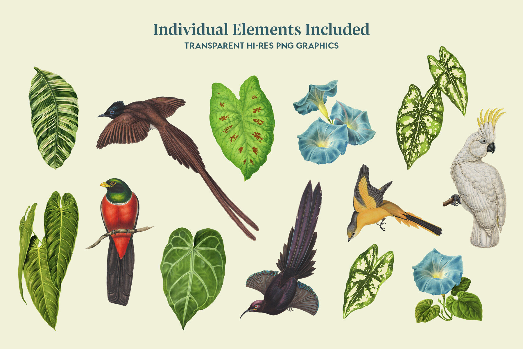 Exotic Birds Vintage Pattern 7