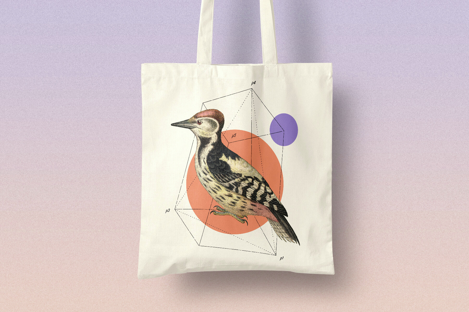 122 Vintage Illustrations of Birds 4