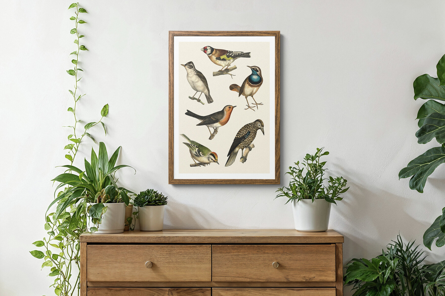 122 Vintage Illustrations of Birds 6