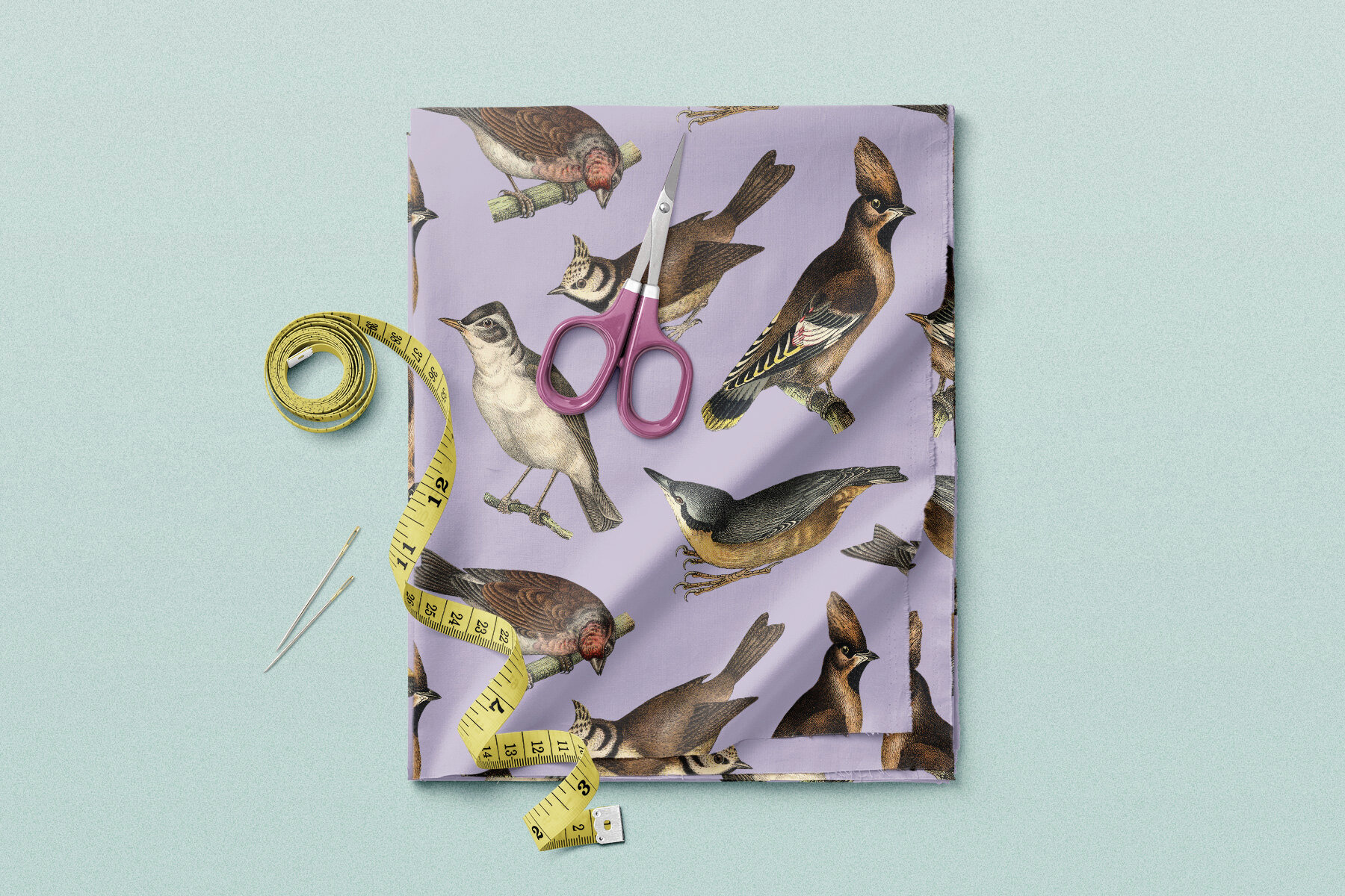 122 Vintage Illustrations of Birds 10