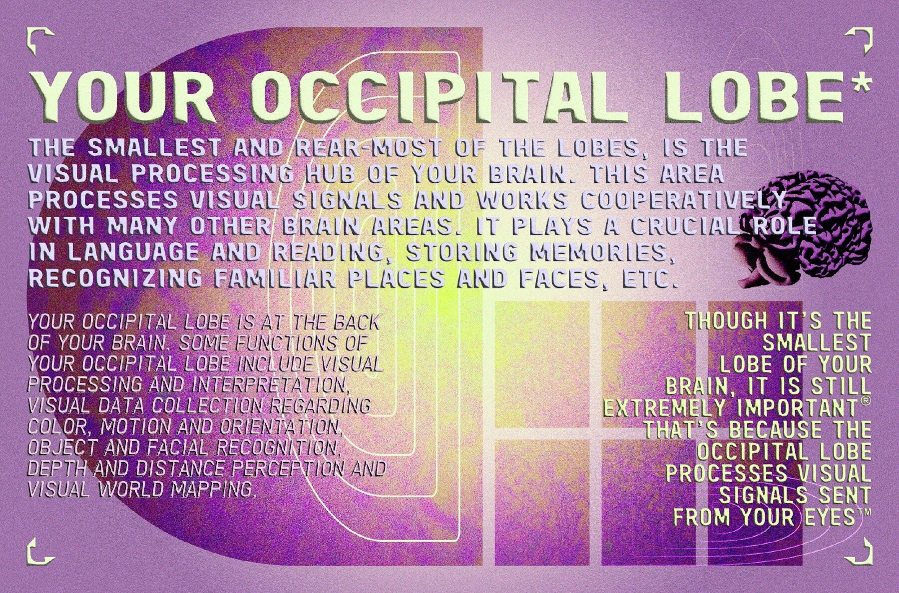 Textures of Memories Vol 3 2