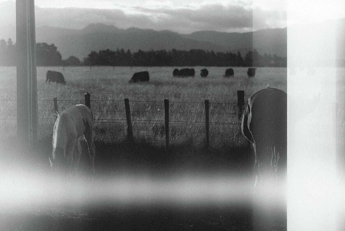 Bad Scanner Overlay Textures 4