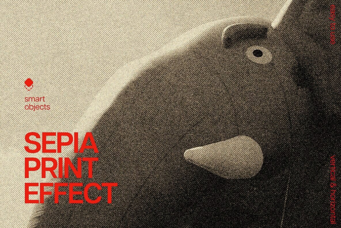 Sepia Print Photo Effect 1