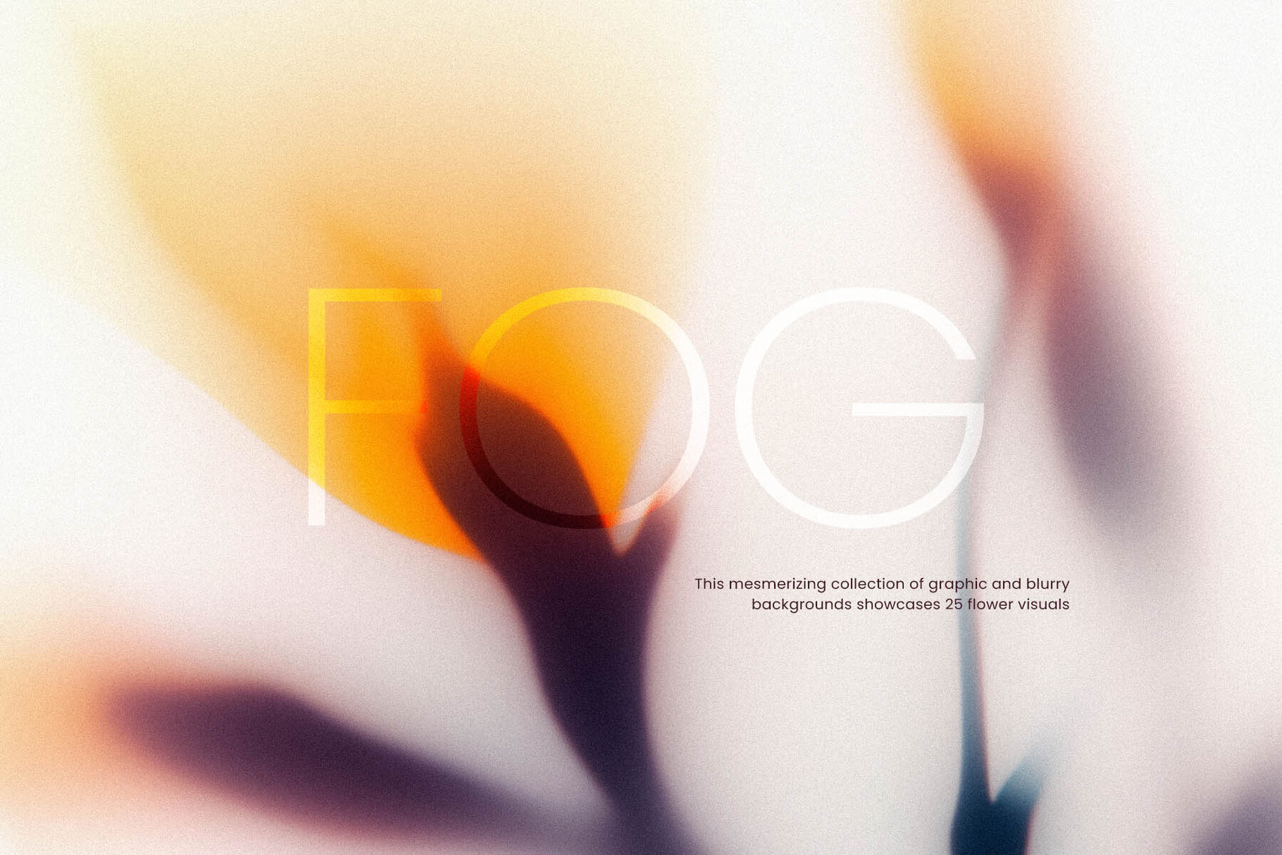 Foggy Flower Collection 1