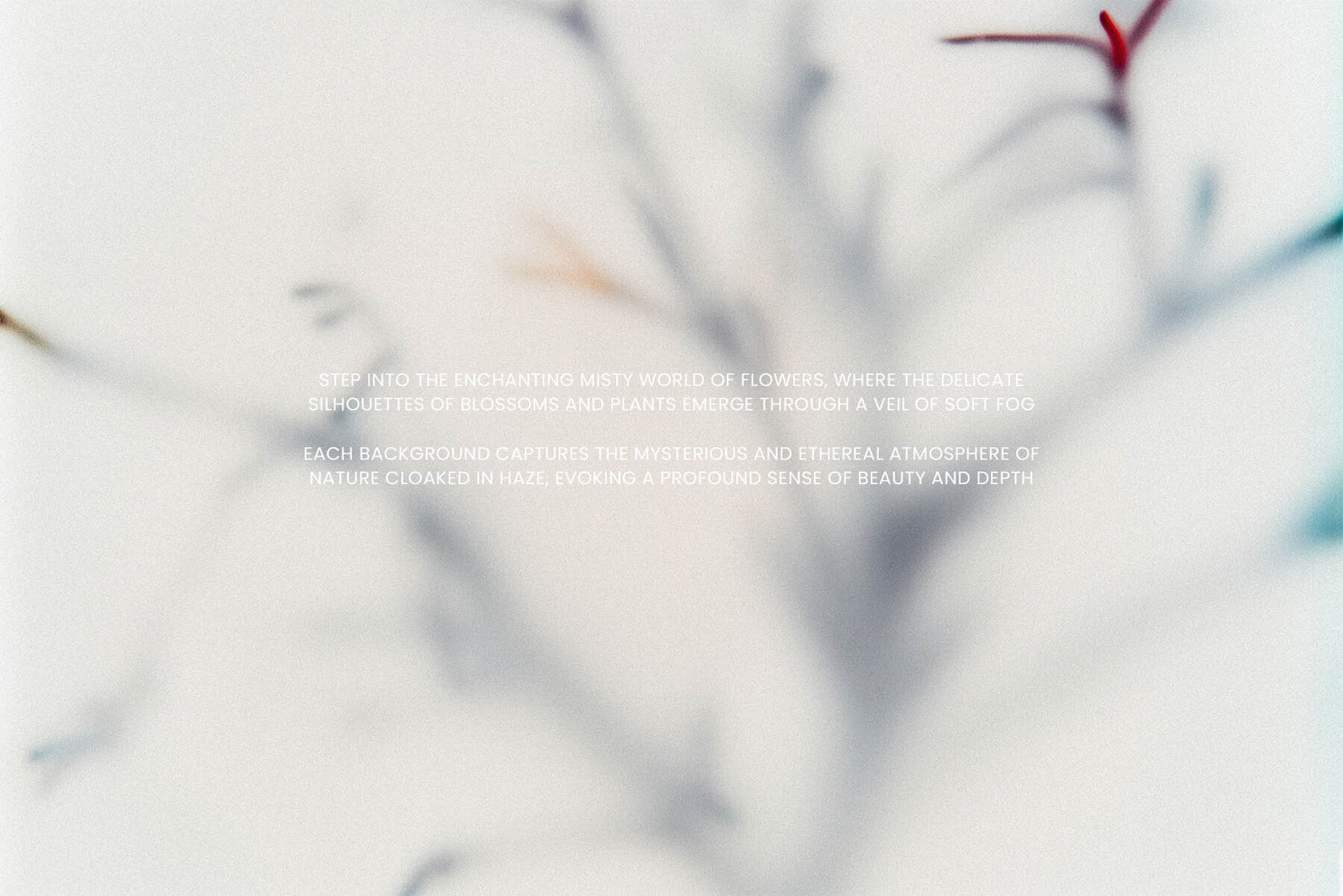 Foggy Flower Collection 2