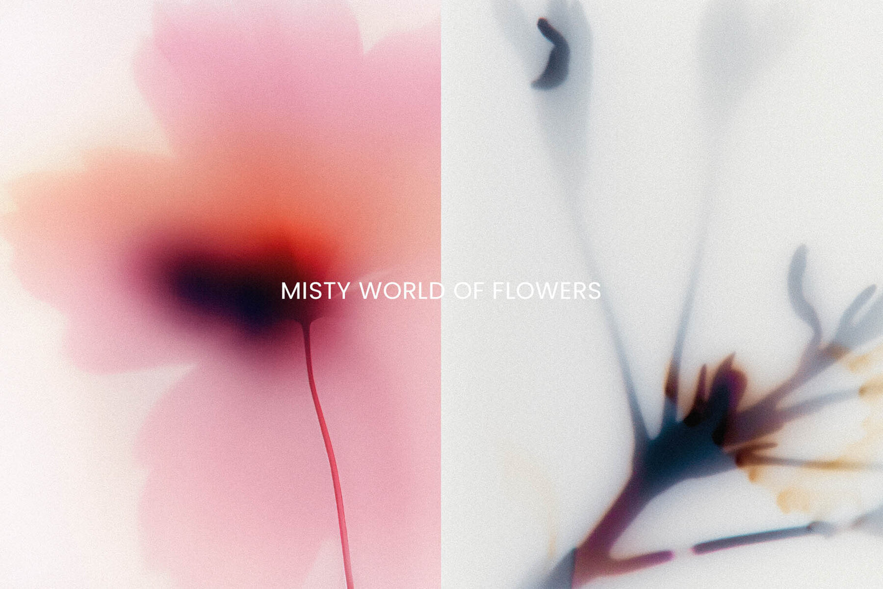 Foggy Flower Collection 3