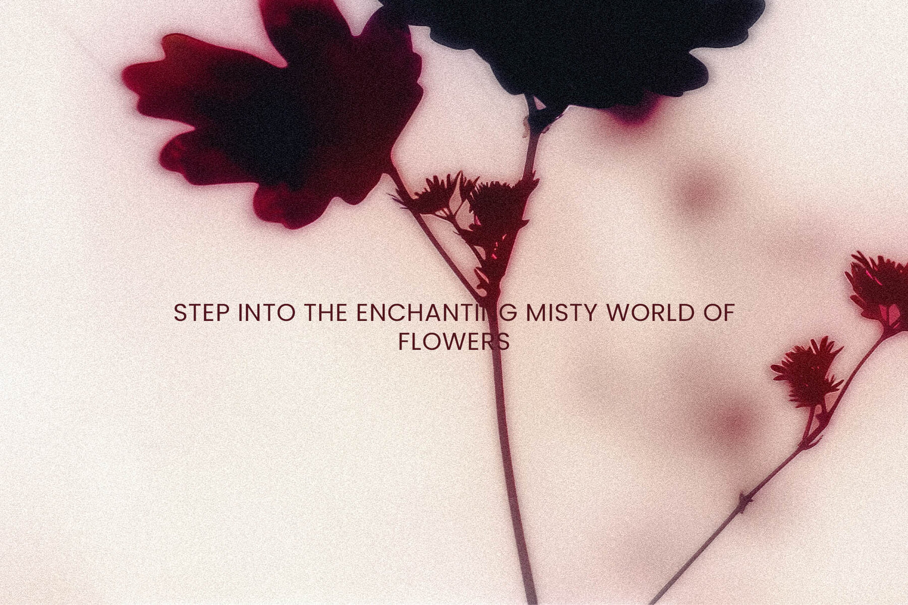 Foggy Flower Collection 5