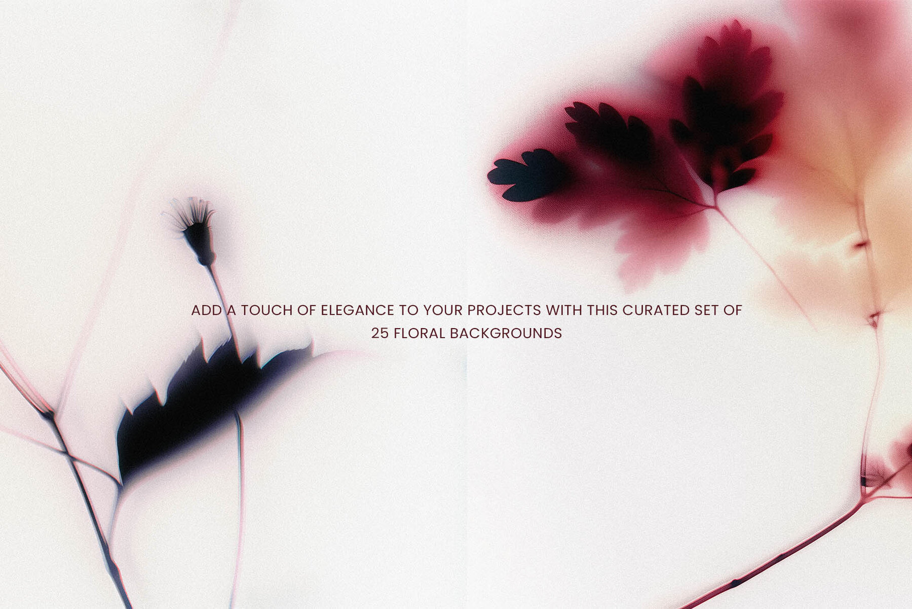 Foggy Flower Collection 8