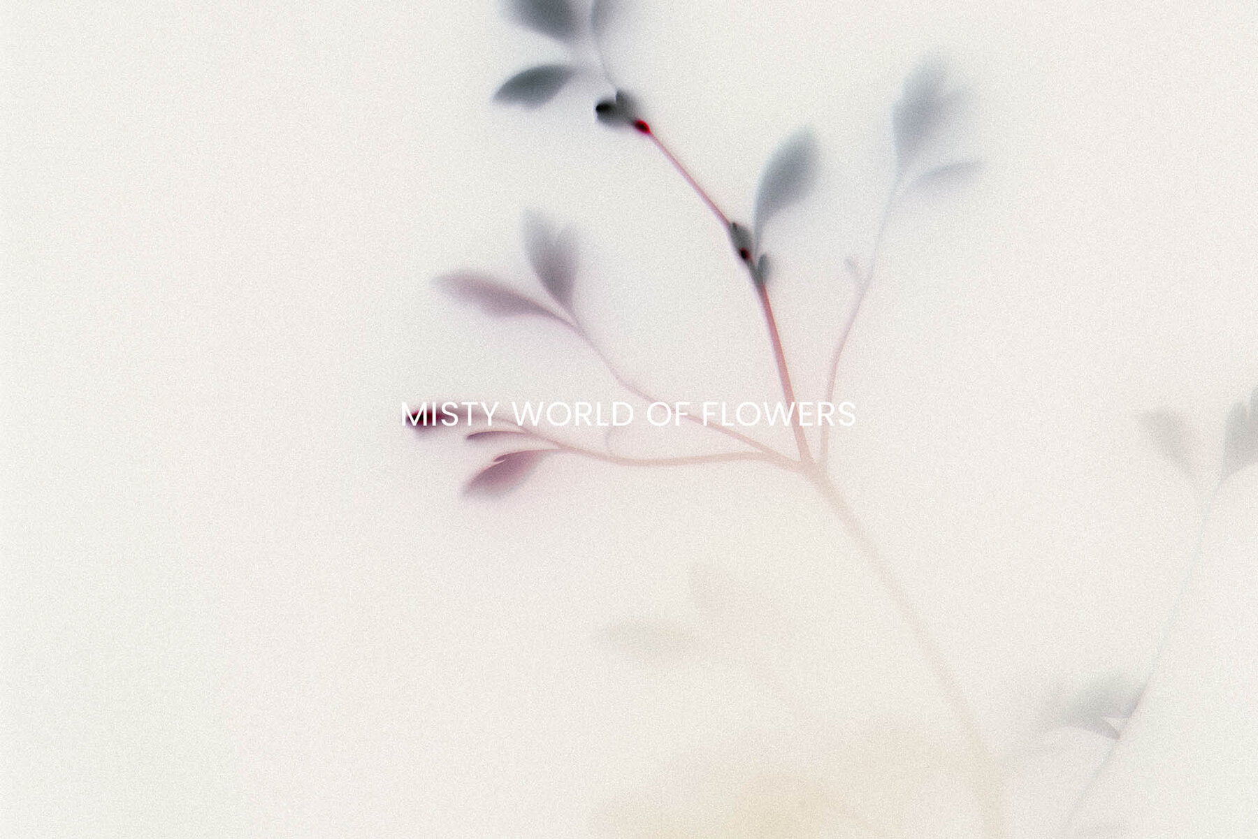 Foggy Flower Collection 10