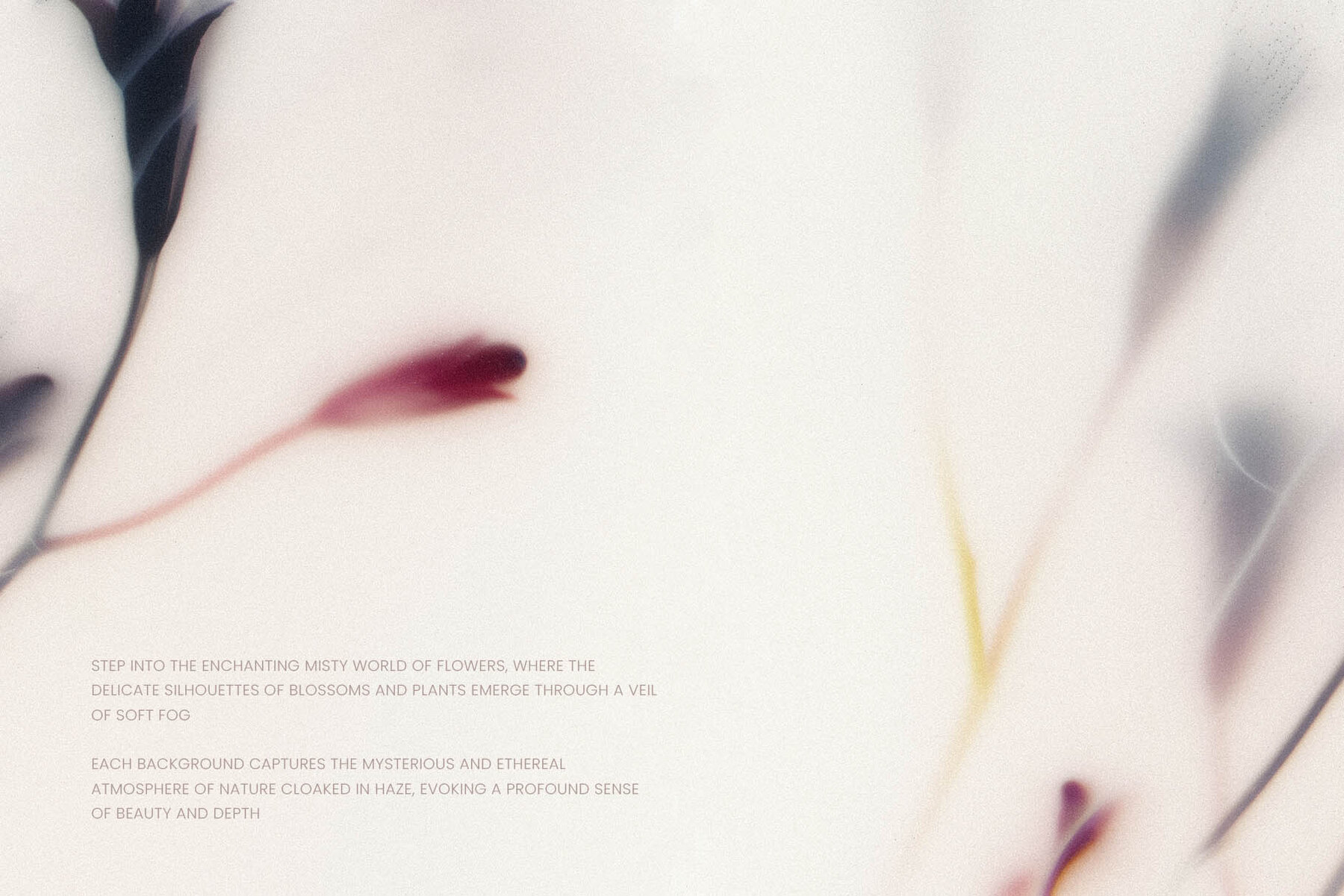 Foggy Flower Collection 11