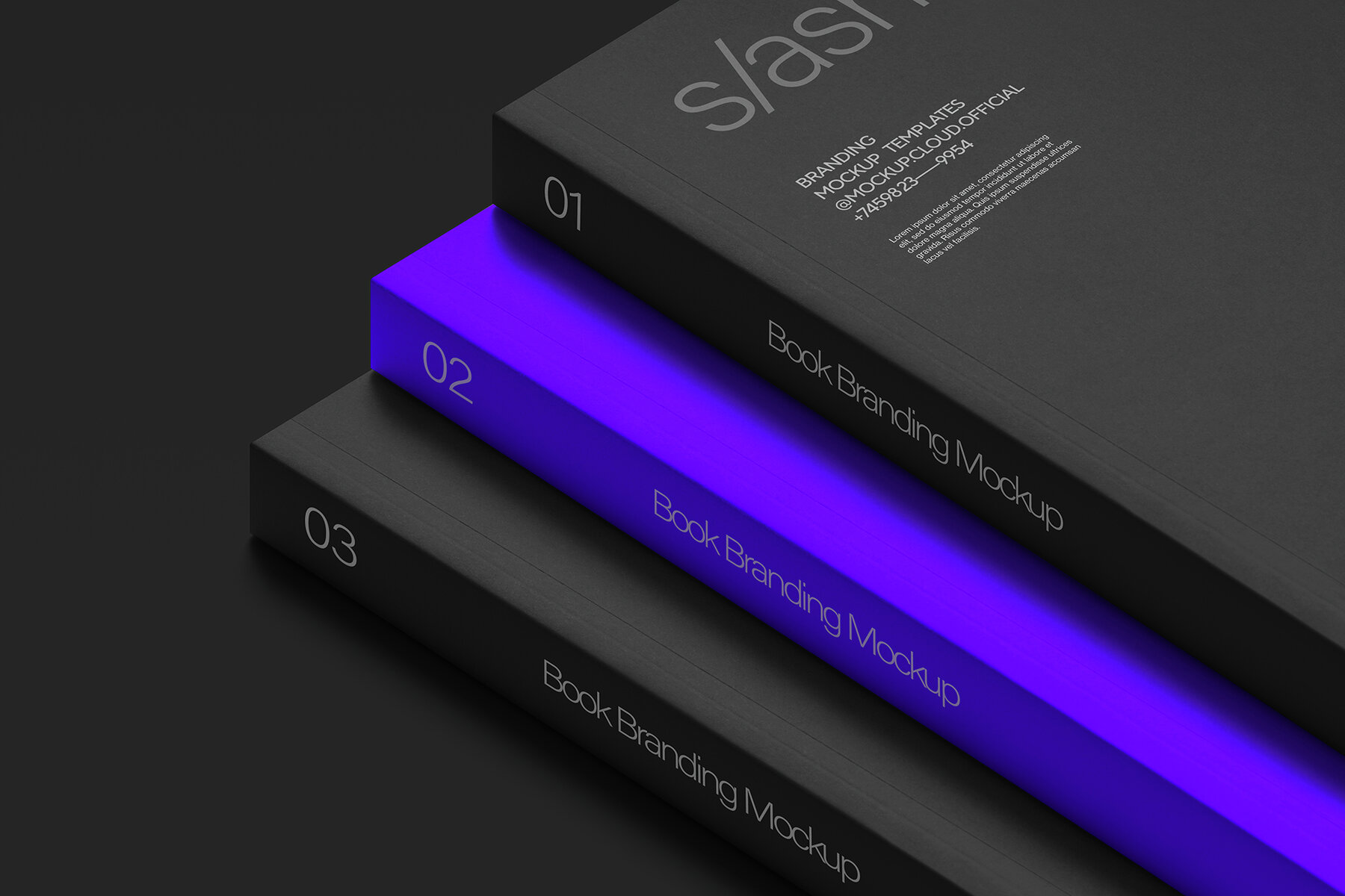 Branding Identity Mockups Slash Series 02 6