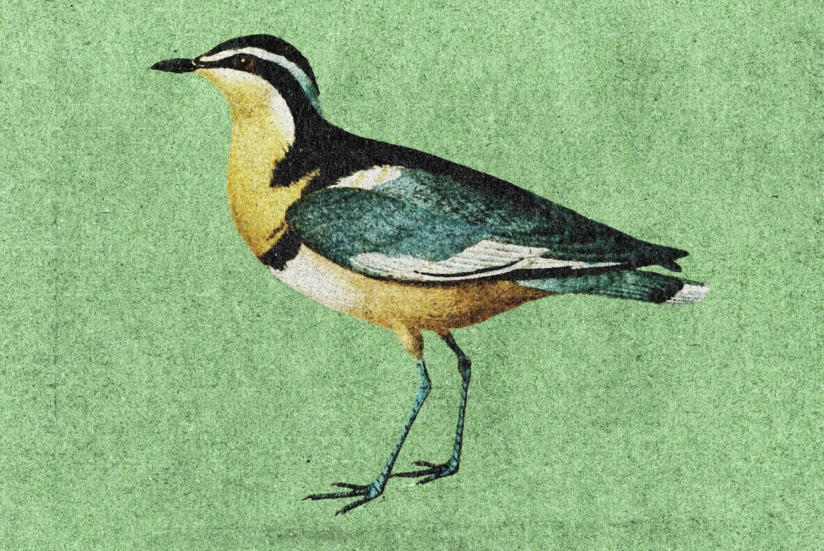 Old Ink Printer Design Effect 3