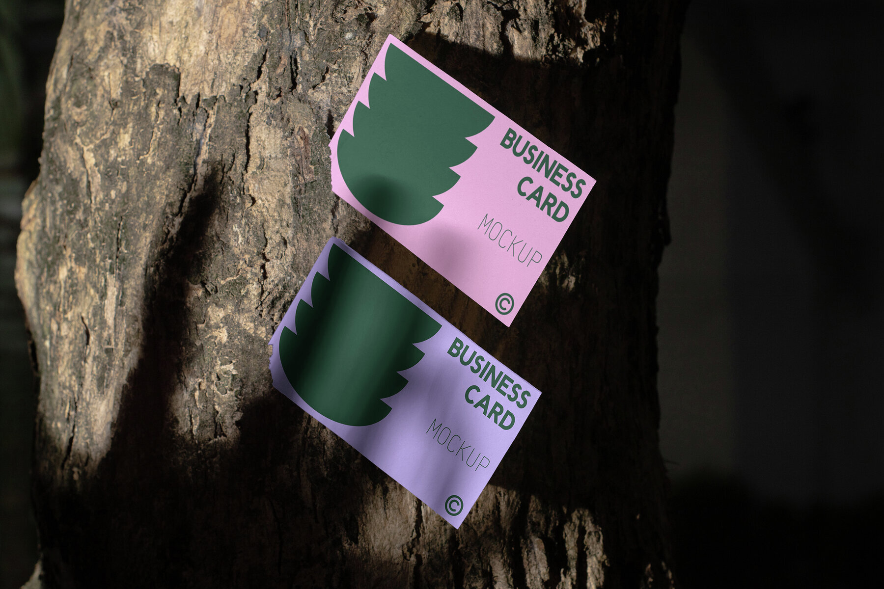 Business Card Mockup   VOL 3 3