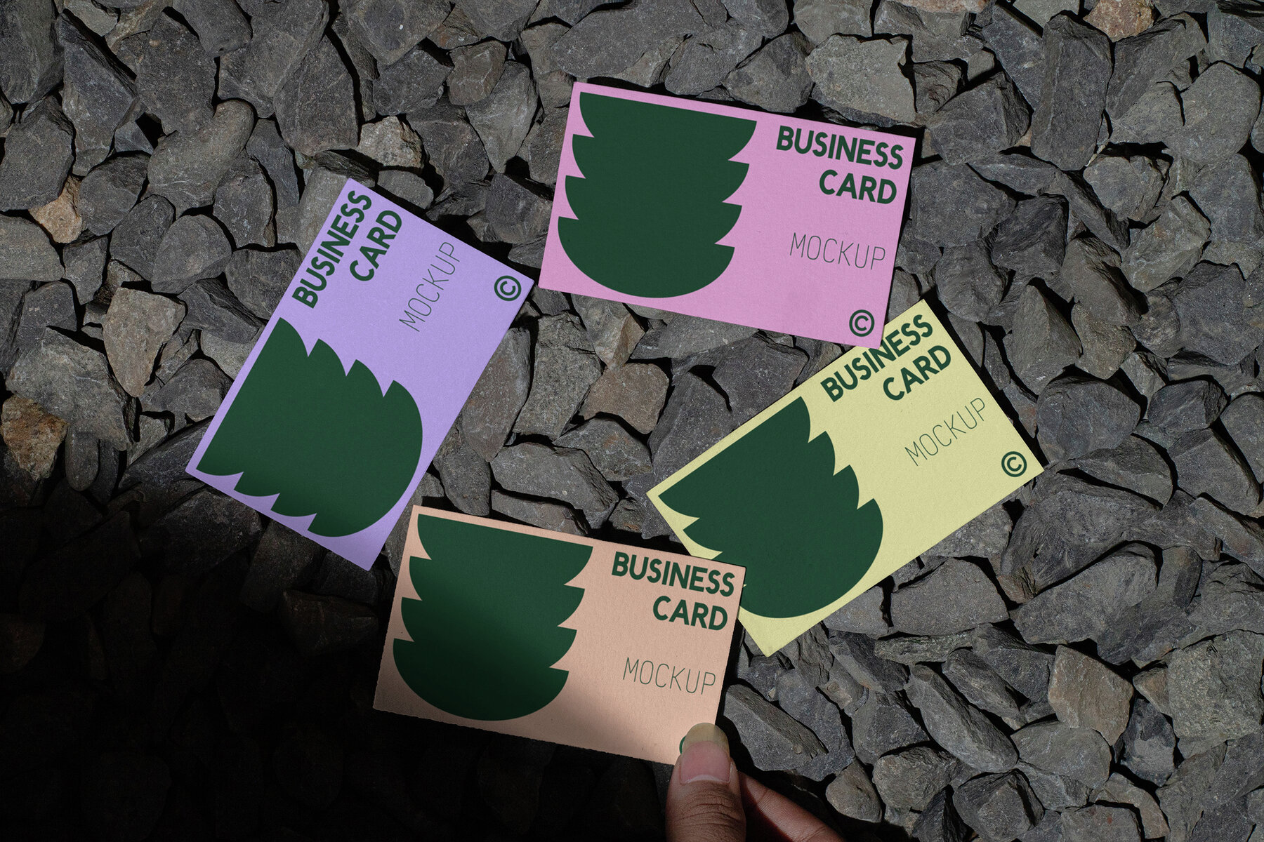 Business Card Mockup   VOL 3 4