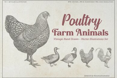 Poultry Farm Animal Vintage Illustration