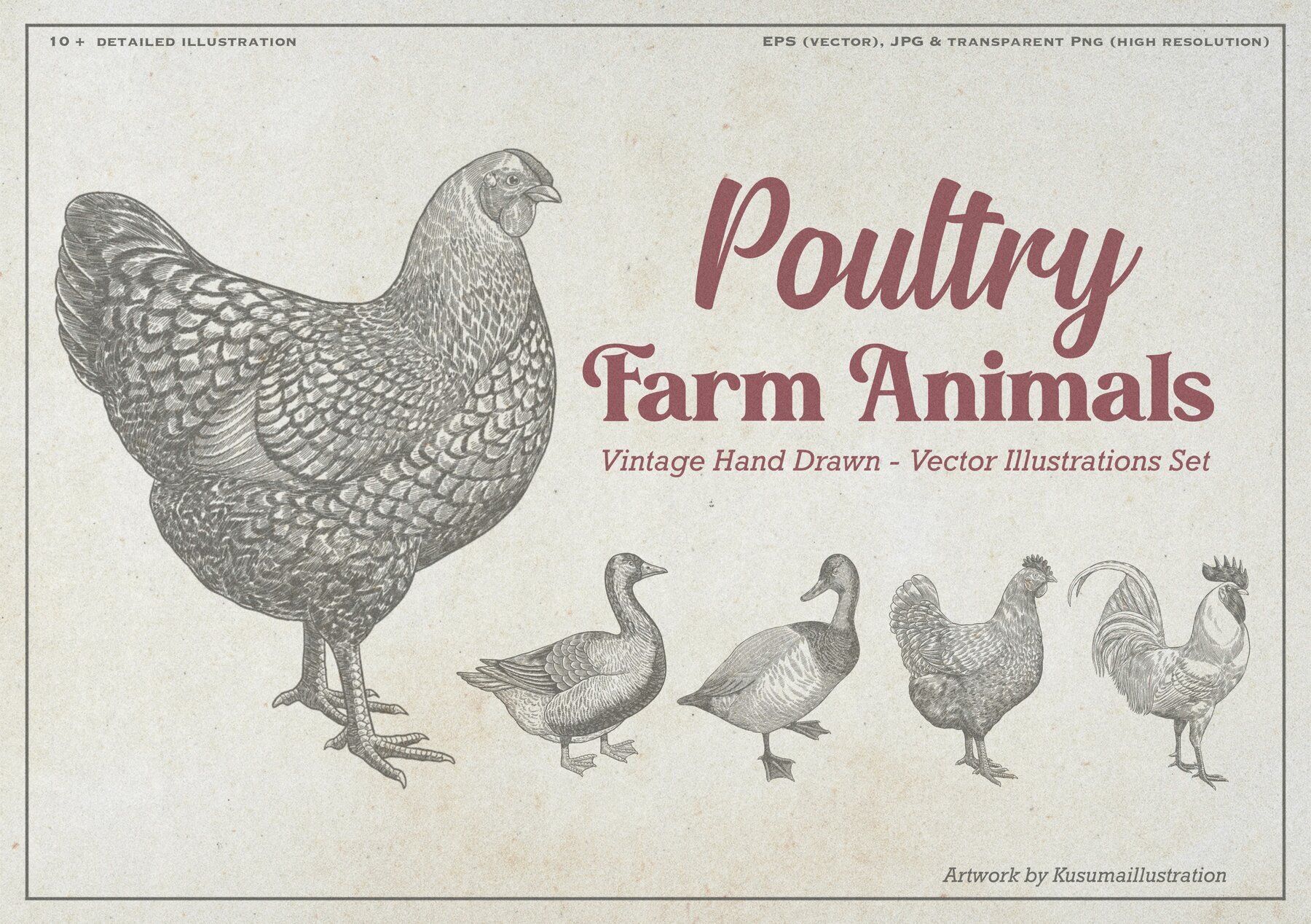 Poultry Farm Animal Vintage Illustration 1