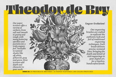 Theodor de Bry Procreate Kit