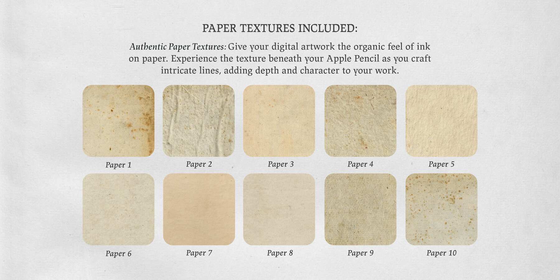 Daniel Marot Procreate Kit 8