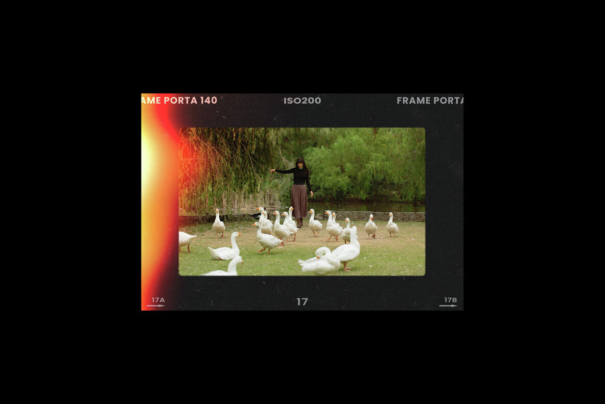 Retro Film Frames Bundle 24