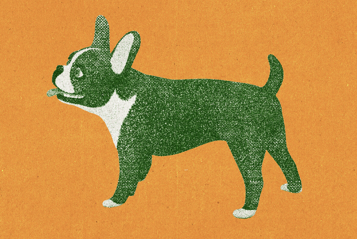 Vintage Print Photo Effect 6