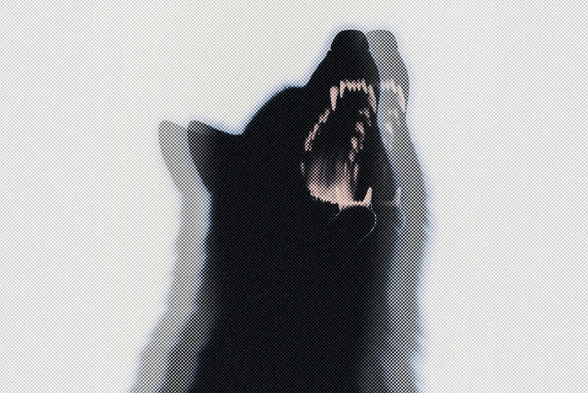 Triple Halftone Screenprint Photo Effect 3