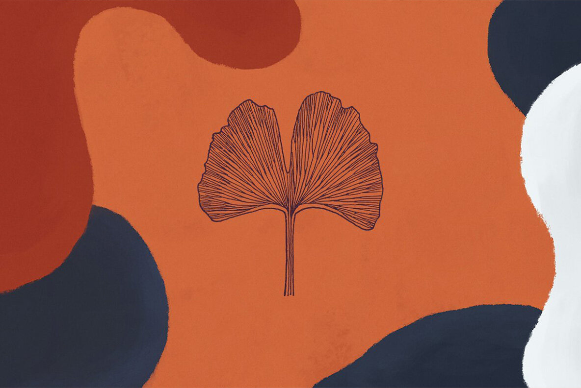 Botany and Snakes 11