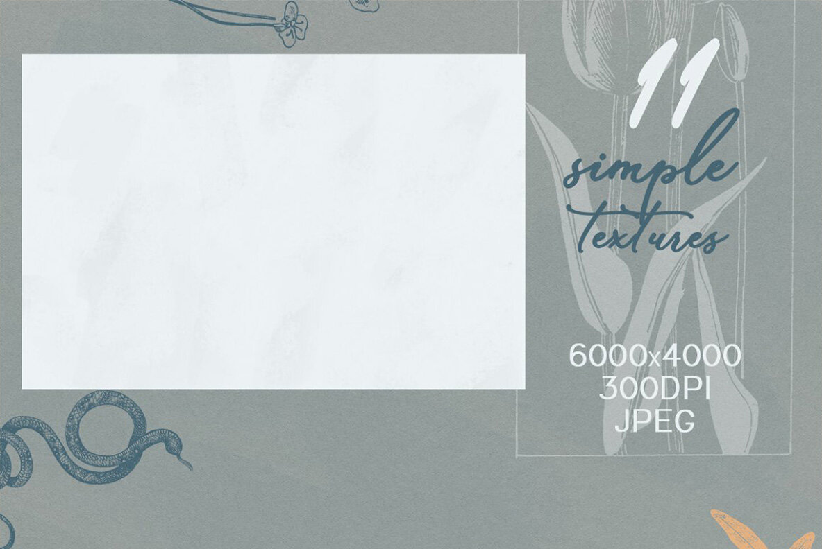 Botany and Snakes 16