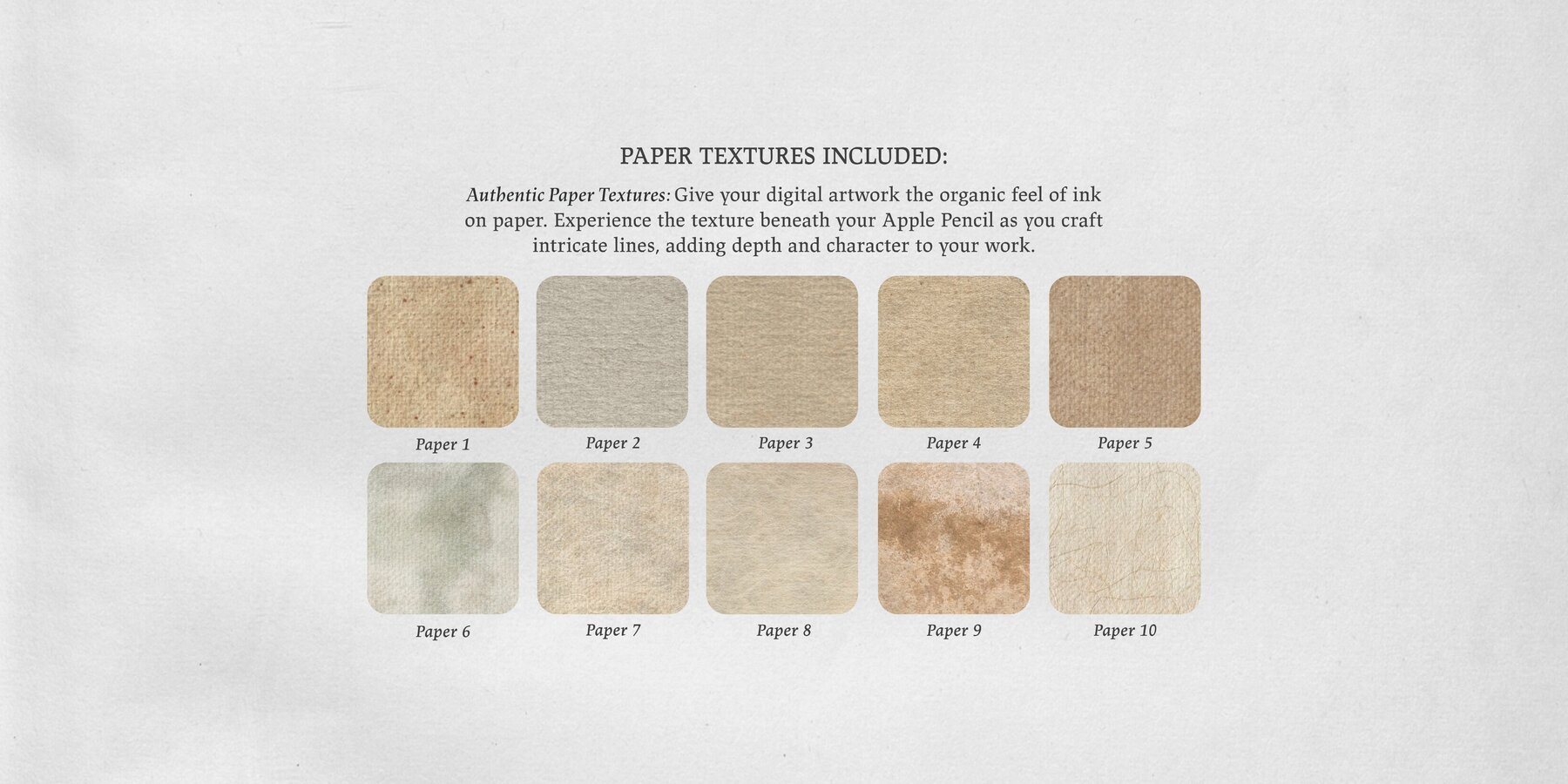 Hans Sebald Beham Procreate Kit 6