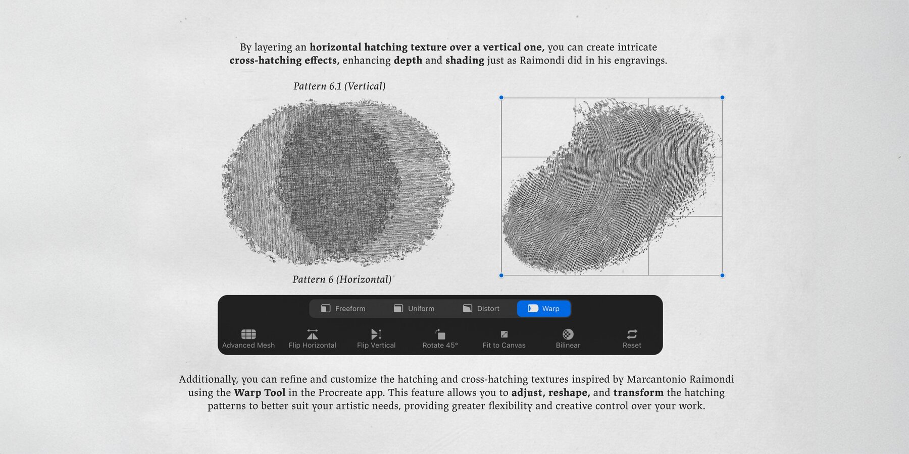 Marcantonio Raimondi Procreate Kit 4