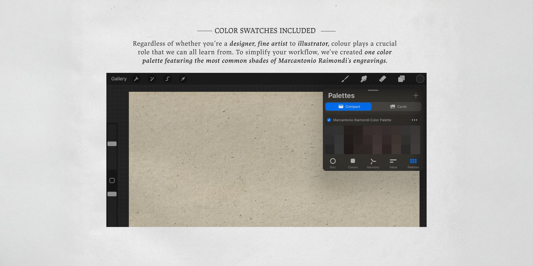 Marcantonio Raimondi Procreate Kit 9