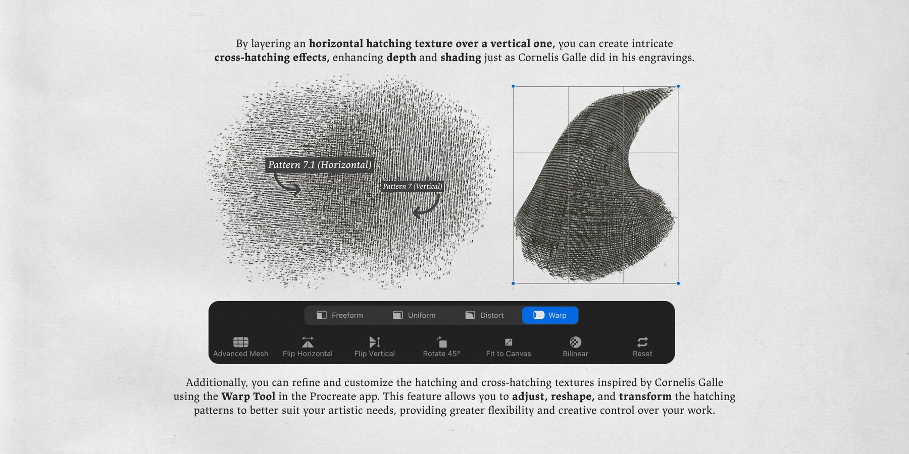 Cornelis Galle Procreate Kit 7