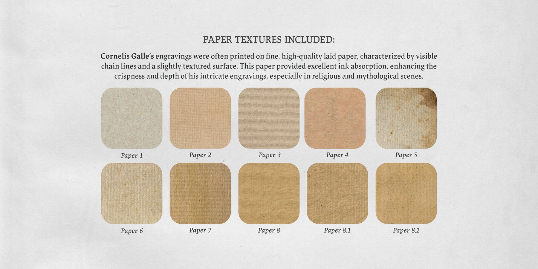 Cornelis Galle Procreate Kit 8