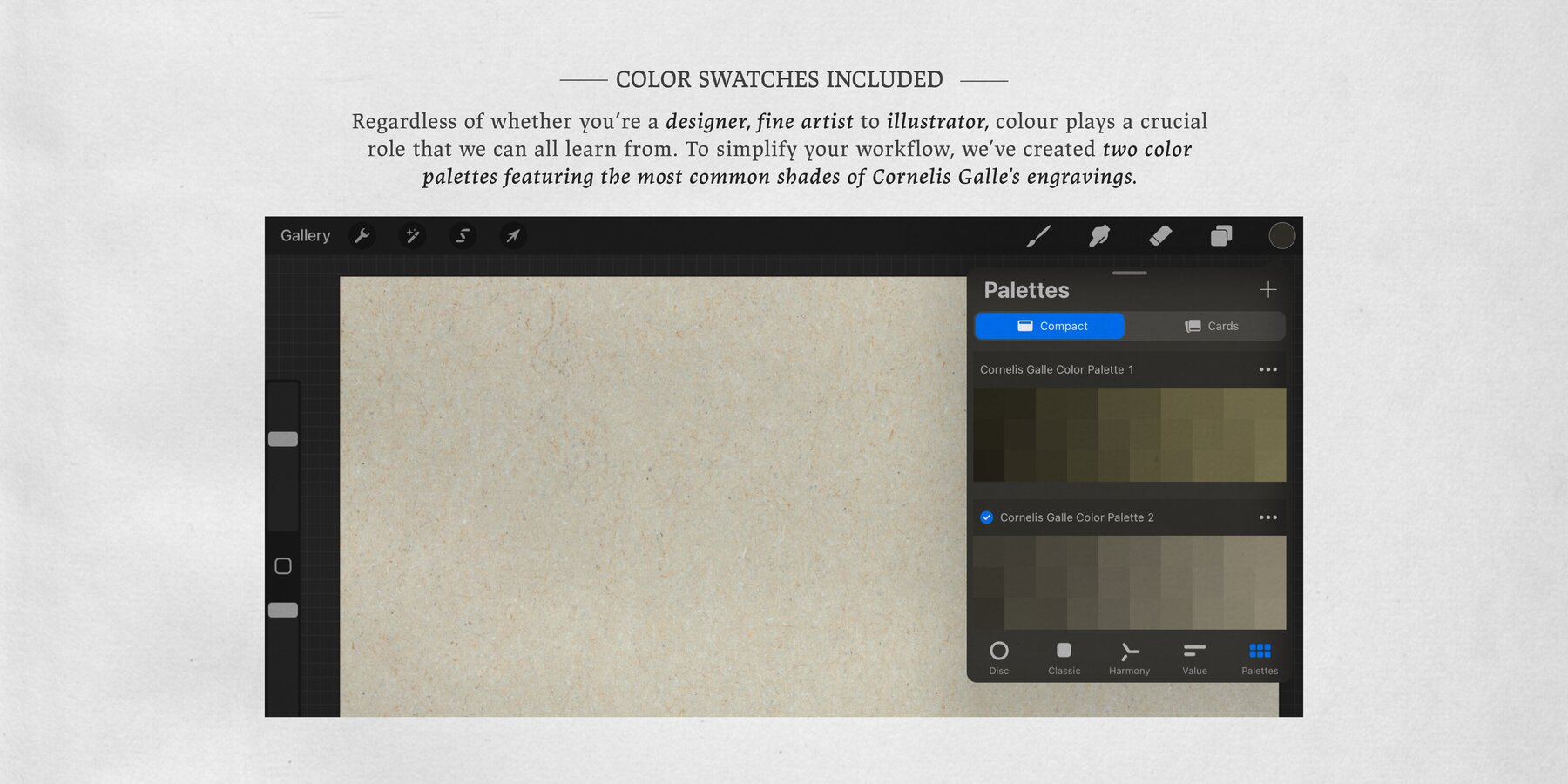 Cornelis Galle Procreate Kit 9