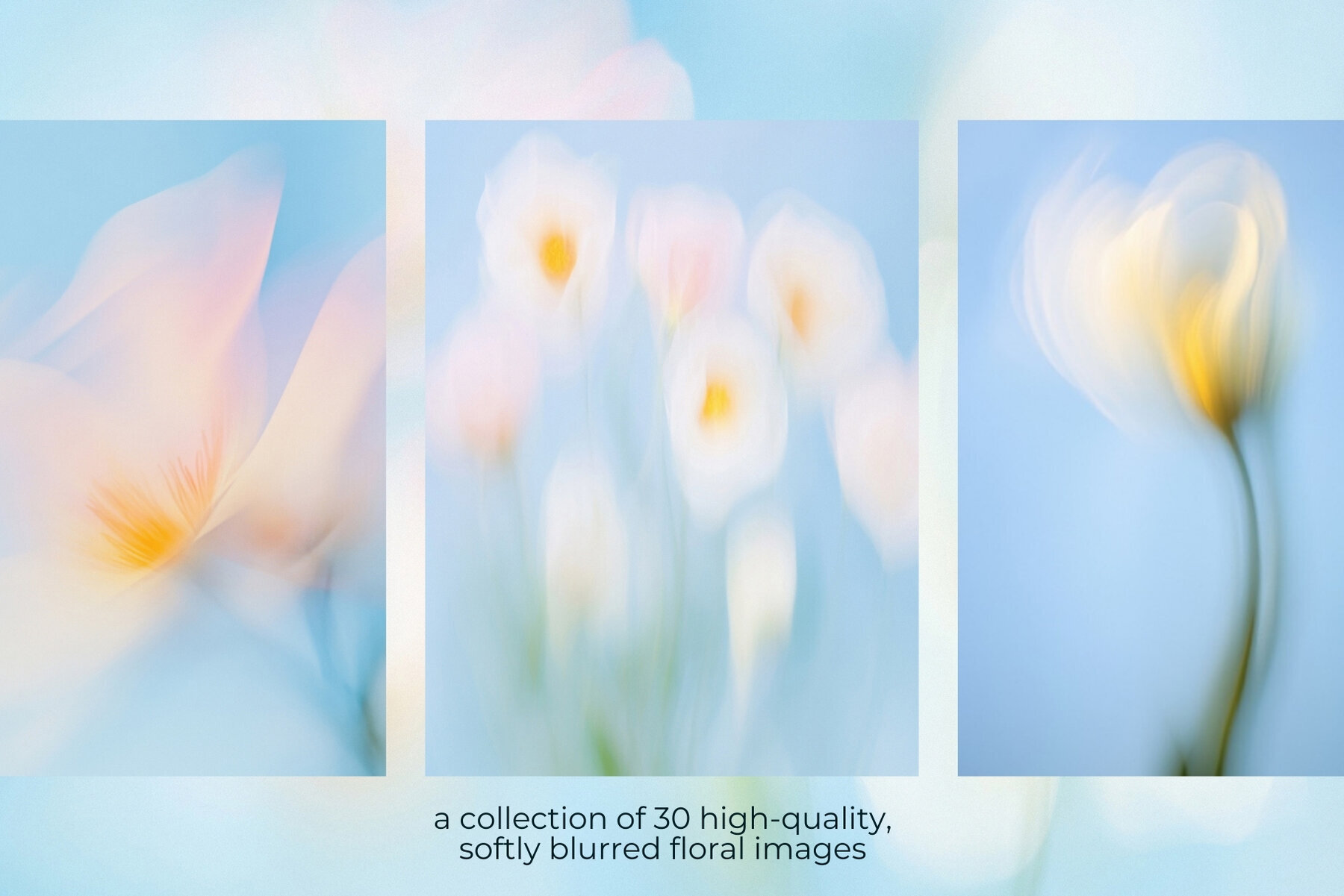 30 Soft Blurred Florals Backgrounds 2