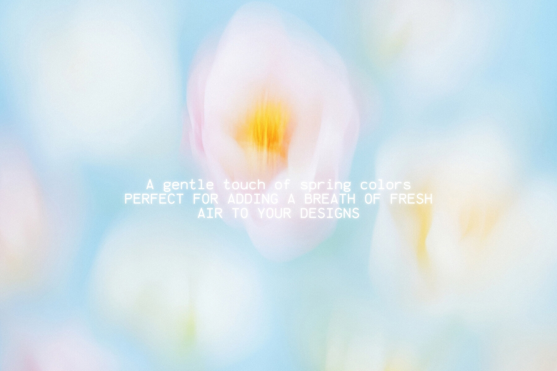 30 Soft Blurred Florals Backgrounds 5