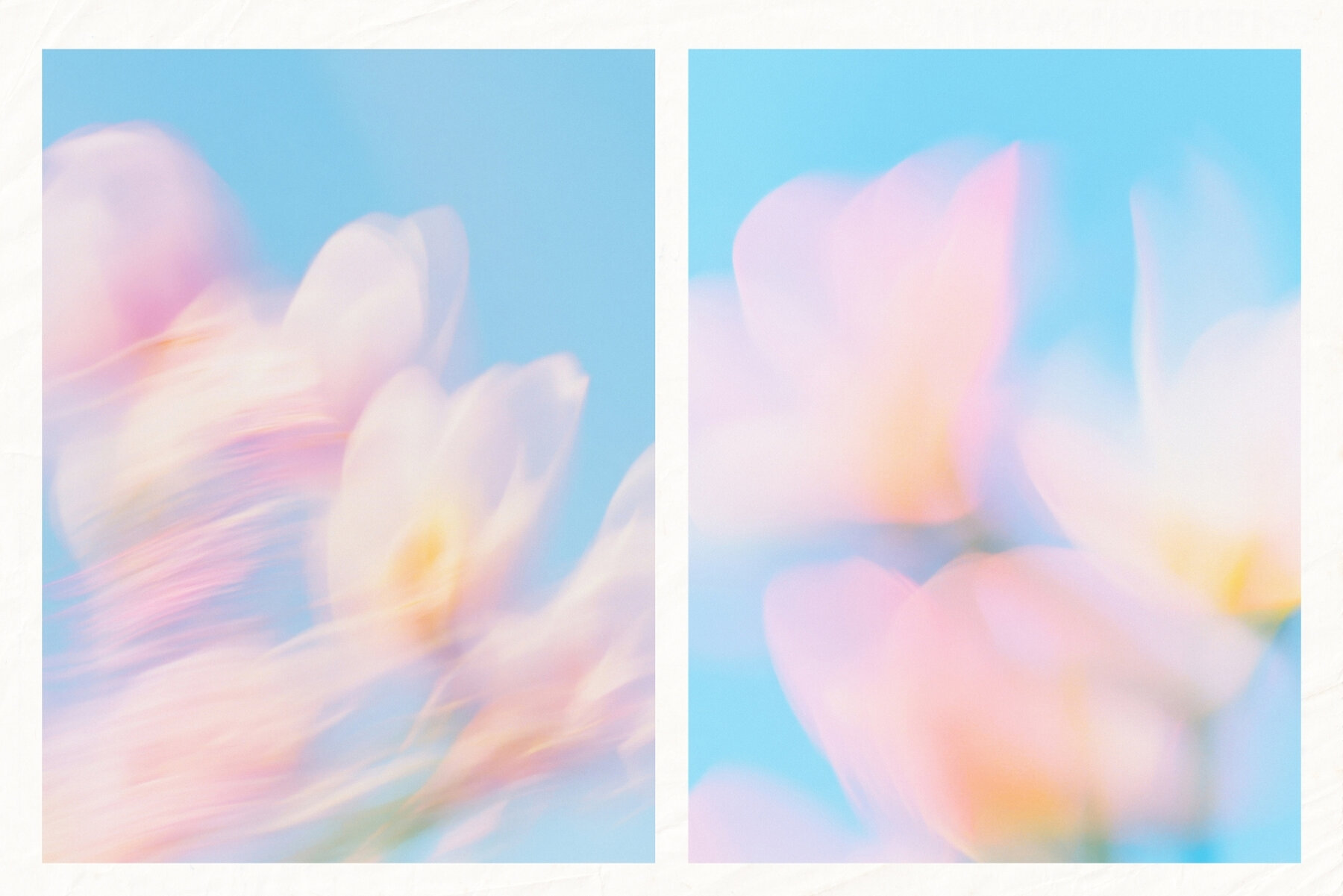 30 Soft Blurred Florals Backgrounds 7