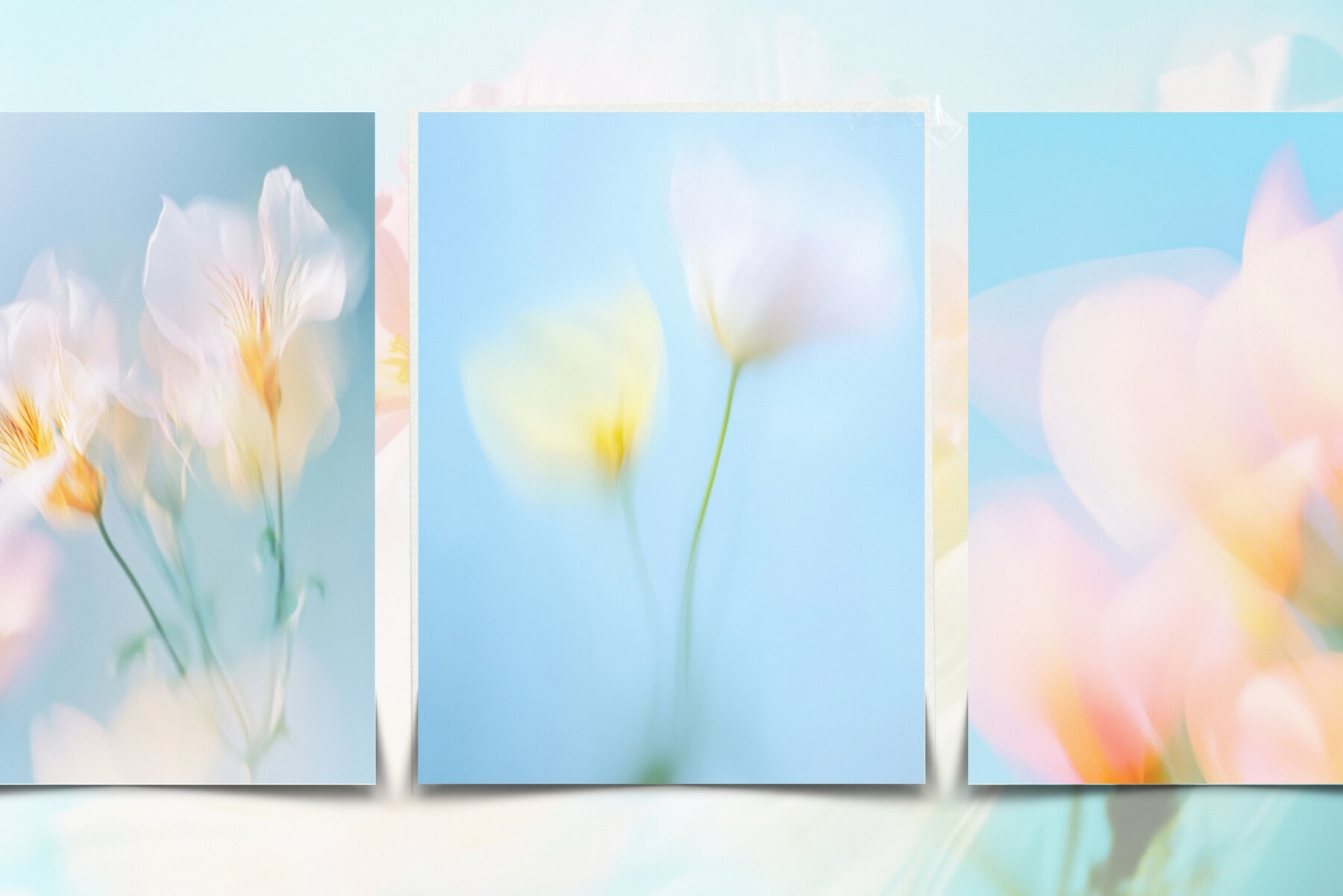 30 Soft Blurred Florals Backgrounds 8