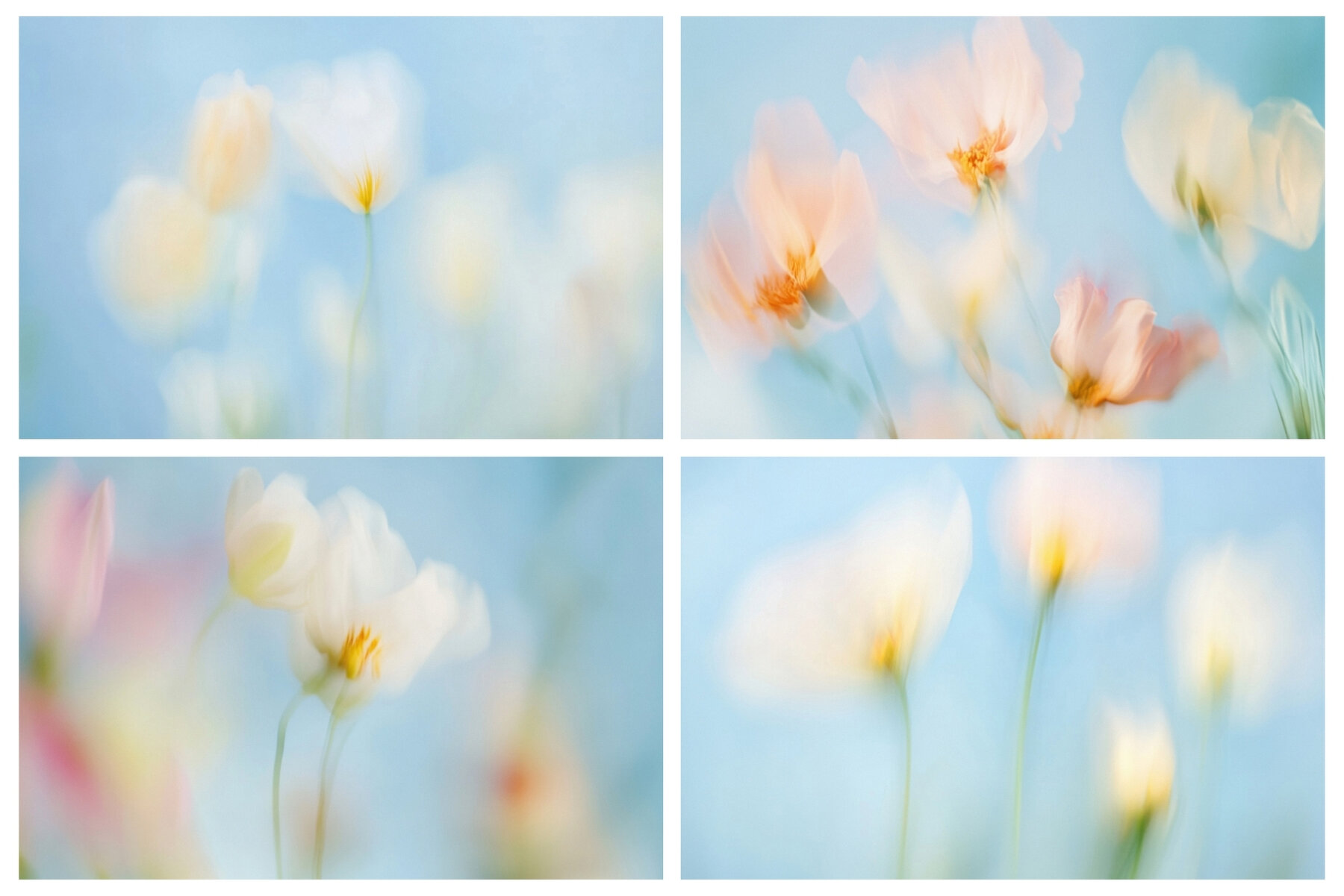 30 Soft Blurred Florals Backgrounds 9